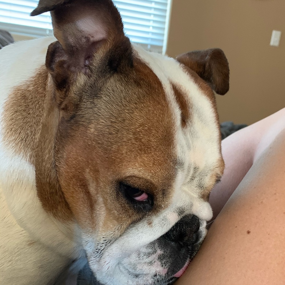 Meet your Posher, Natasha